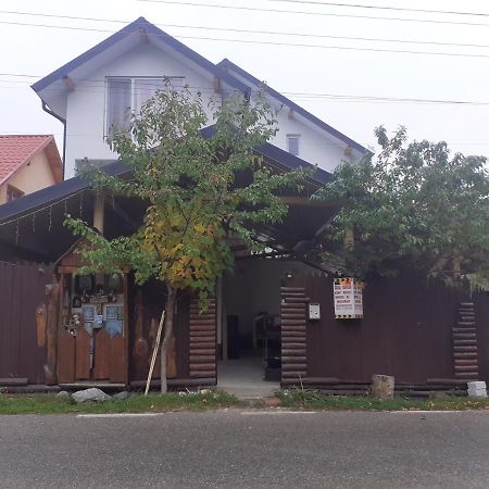 ホテル Casa Denisa Vidraru Transfgarasan Căpăţîneni-Ungureni エクステリア 写真