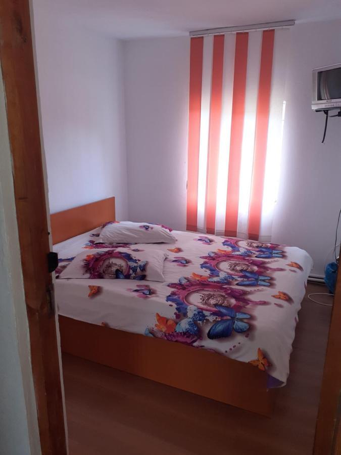 ホテル Casa Denisa Vidraru Transfgarasan Căpăţîneni-Ungureni エクステリア 写真