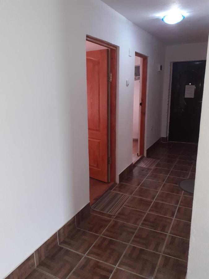 ホテル Casa Denisa Vidraru Transfgarasan Căpăţîneni-Ungureni エクステリア 写真