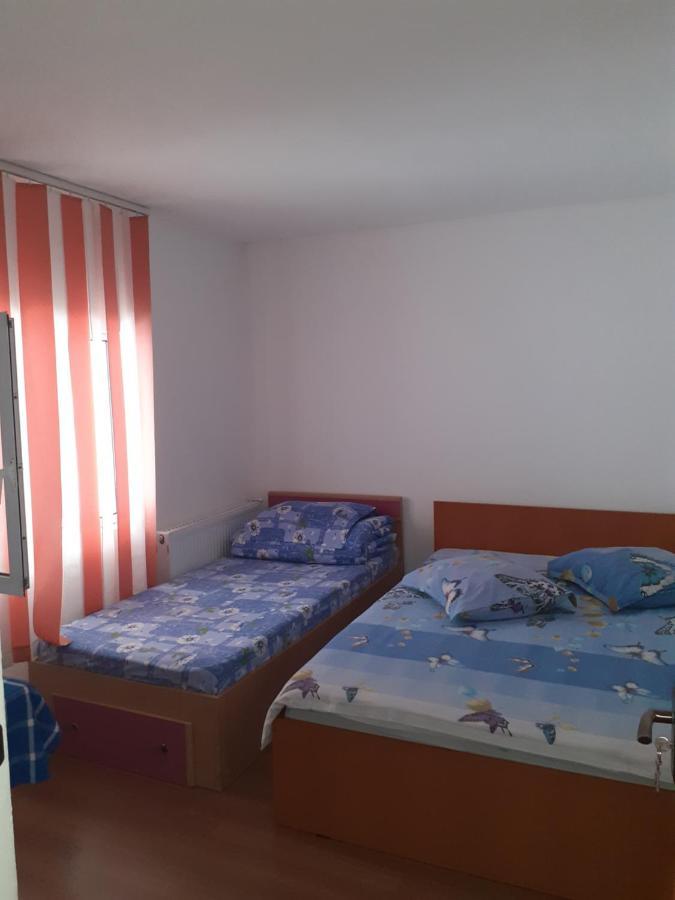 ホテル Casa Denisa Vidraru Transfgarasan Căpăţîneni-Ungureni エクステリア 写真