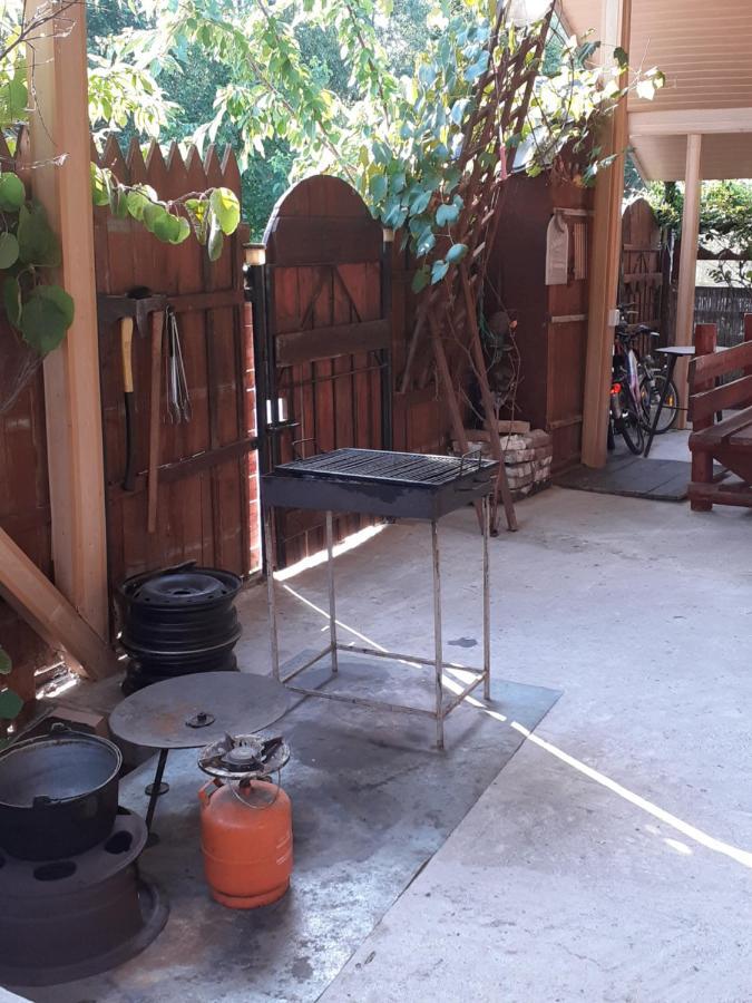 ホテル Casa Denisa Vidraru Transfgarasan Căpăţîneni-Ungureni エクステリア 写真