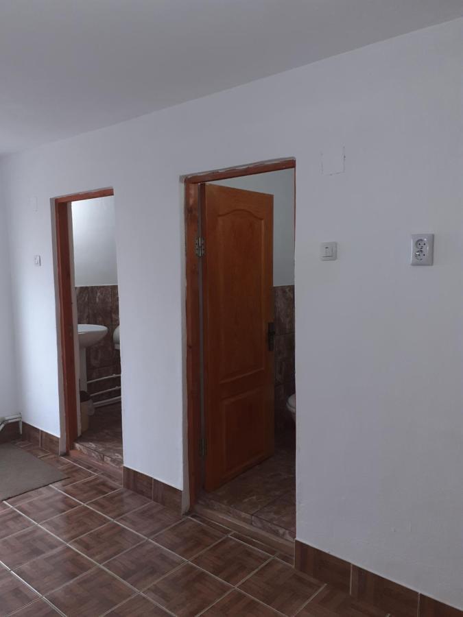 ホテル Casa Denisa Vidraru Transfgarasan Căpăţîneni-Ungureni エクステリア 写真