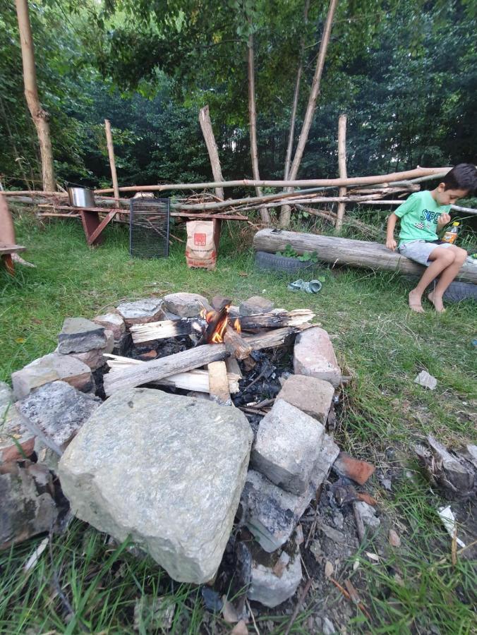 ホテル Casa Denisa Vidraru Transfgarasan Căpăţîneni-Ungureni エクステリア 写真