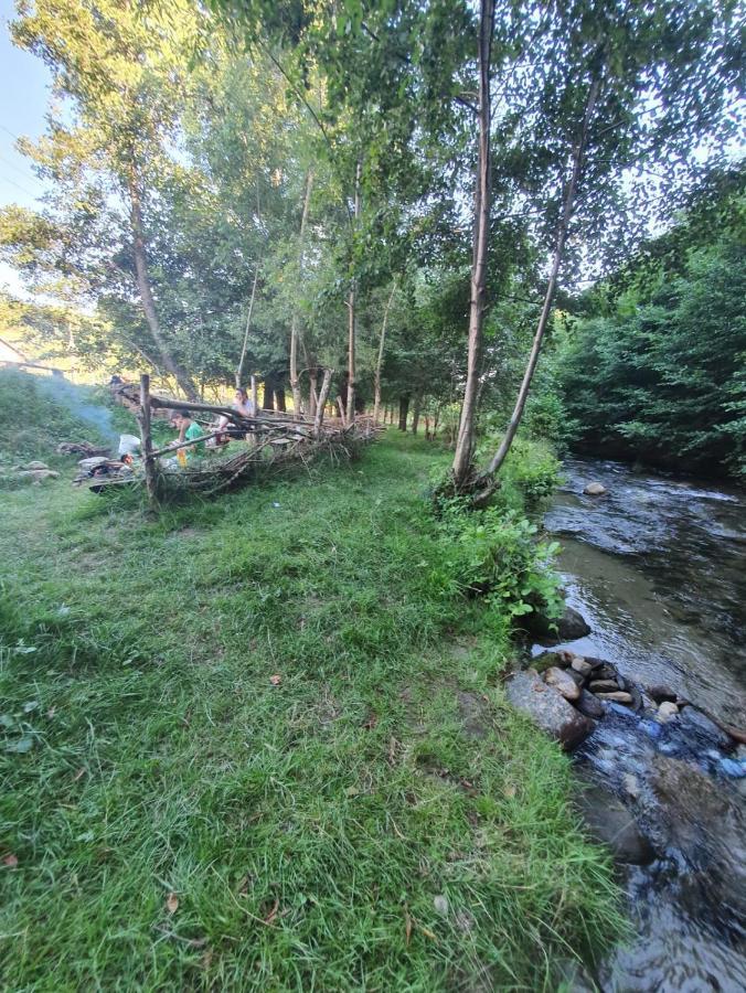 ホテル Casa Denisa Vidraru Transfgarasan Căpăţîneni-Ungureni エクステリア 写真