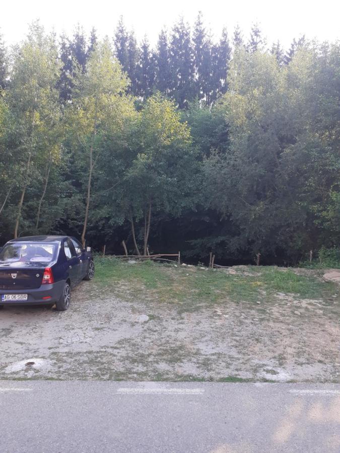 ホテル Casa Denisa Vidraru Transfgarasan Căpăţîneni-Ungureni エクステリア 写真