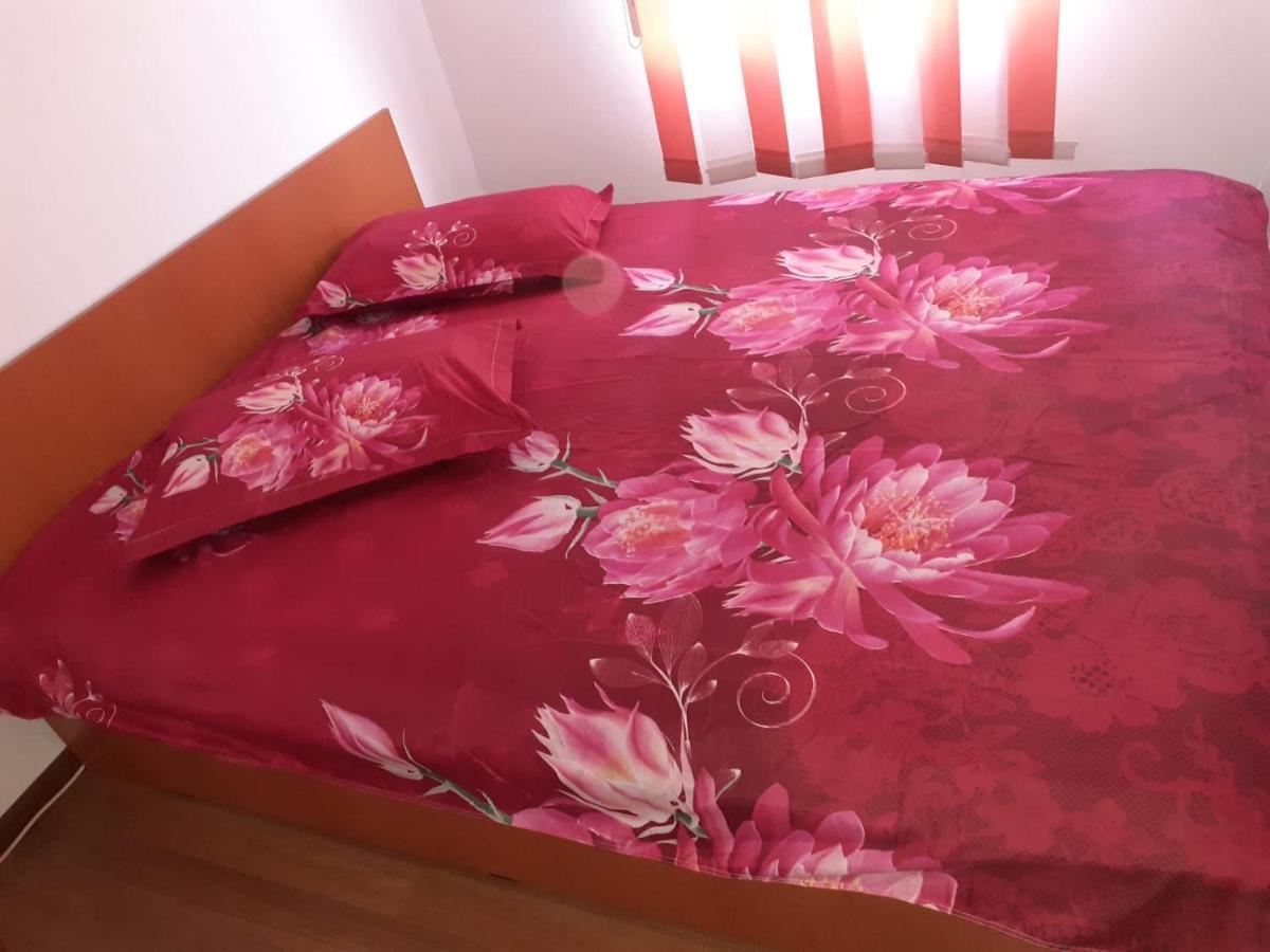ホテル Casa Denisa Vidraru Transfgarasan Căpăţîneni-Ungureni エクステリア 写真