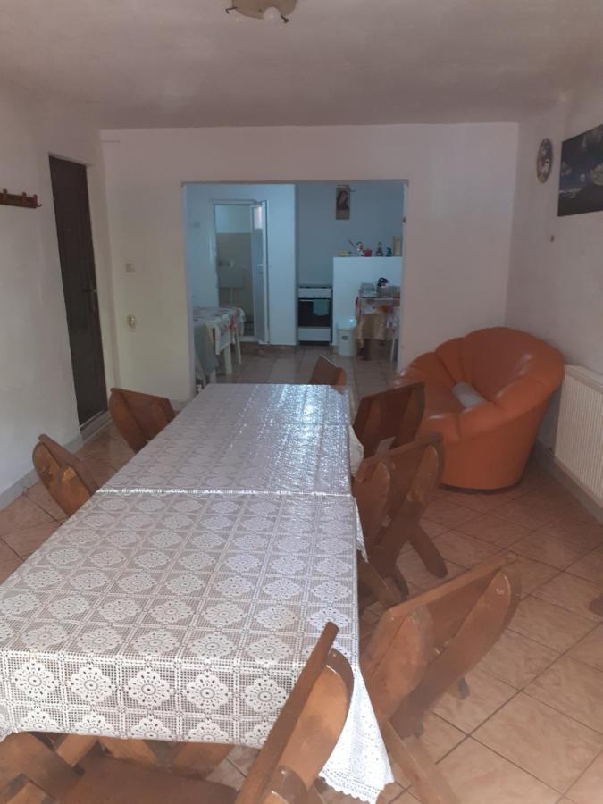 ホテル Casa Denisa Vidraru Transfgarasan Căpăţîneni-Ungureni エクステリア 写真