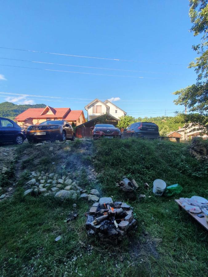 ホテル Casa Denisa Vidraru Transfgarasan Căpăţîneni-Ungureni エクステリア 写真