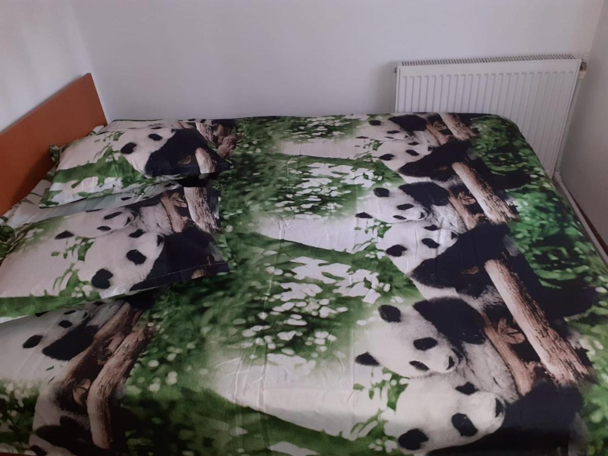 ホテル Casa Denisa Vidraru Transfgarasan Căpăţîneni-Ungureni エクステリア 写真