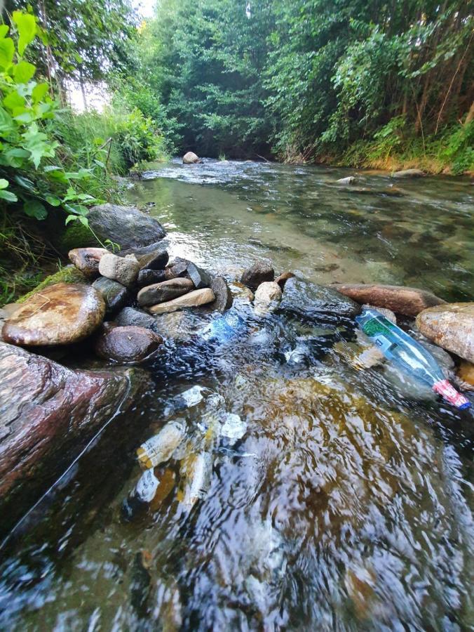 ホテル Casa Denisa Vidraru Transfgarasan Căpăţîneni-Ungureni エクステリア 写真