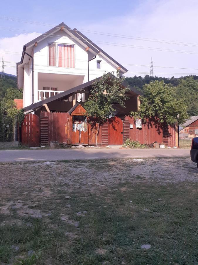 ホテル Casa Denisa Vidraru Transfgarasan Căpăţîneni-Ungureni エクステリア 写真