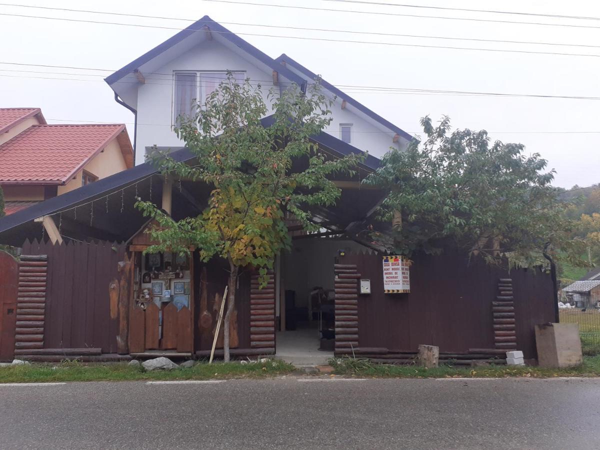 ホテル Casa Denisa Vidraru Transfgarasan Căpăţîneni-Ungureni エクステリア 写真