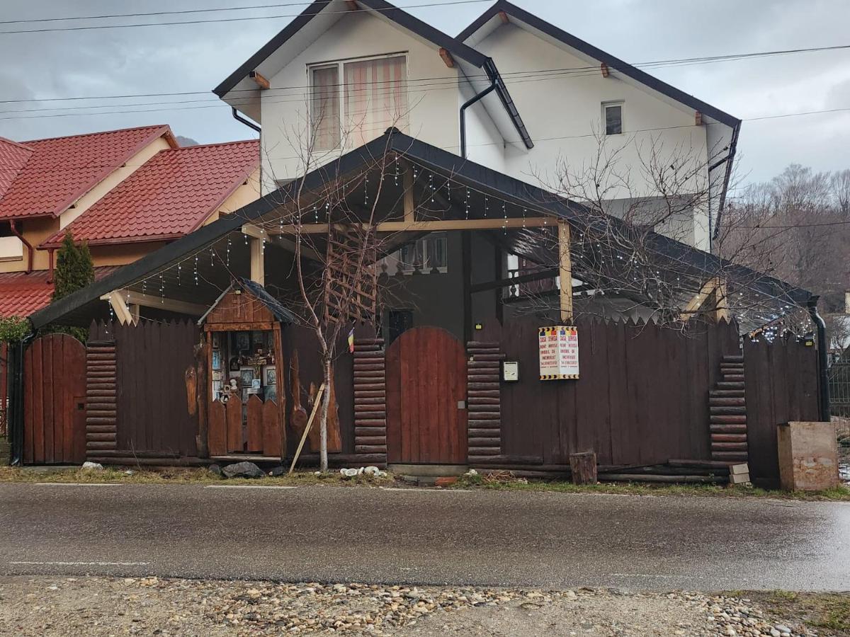ホテル Casa Denisa Vidraru Transfgarasan Căpăţîneni-Ungureni エクステリア 写真