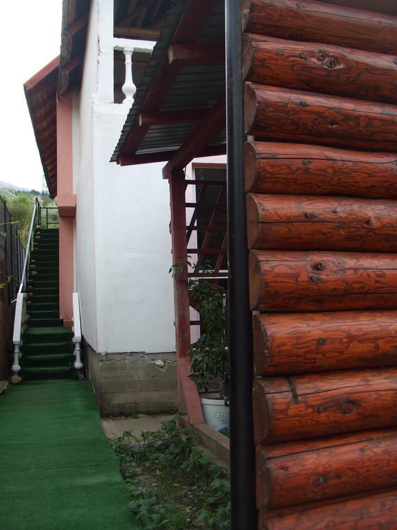 ホテル Casa Denisa Vidraru Transfgarasan Căpăţîneni-Ungureni エクステリア 写真